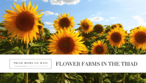 Flower Farms Summer