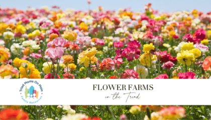 Flower Farms in the Triad
