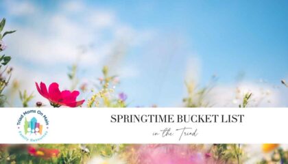 Springtime Bucket List