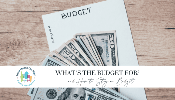 What’s the Budget For?
