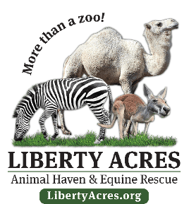 Liberty Acres