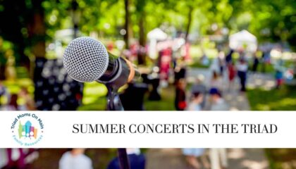 Summer Concerts & Live Music in the Triad