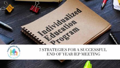 7 Strategies for a Successful End of Year IEP Meeting