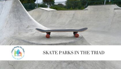 Skate Parks in the Triad 