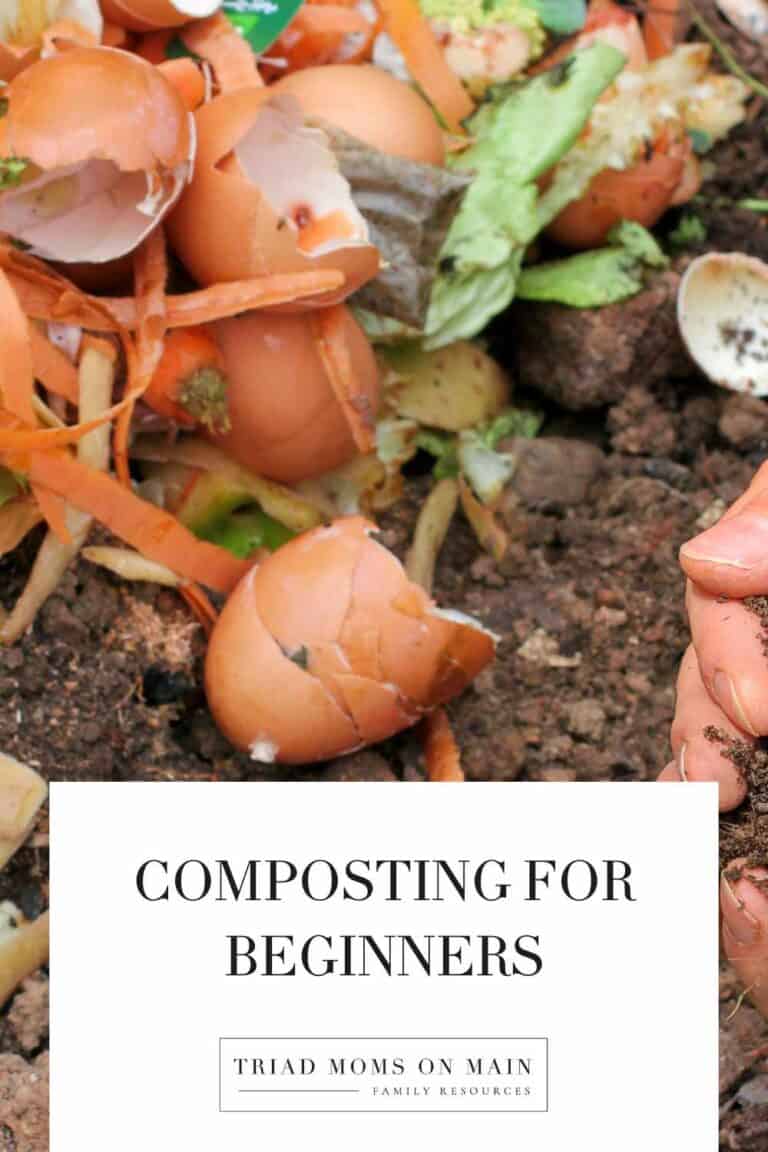 Composting for Beginners