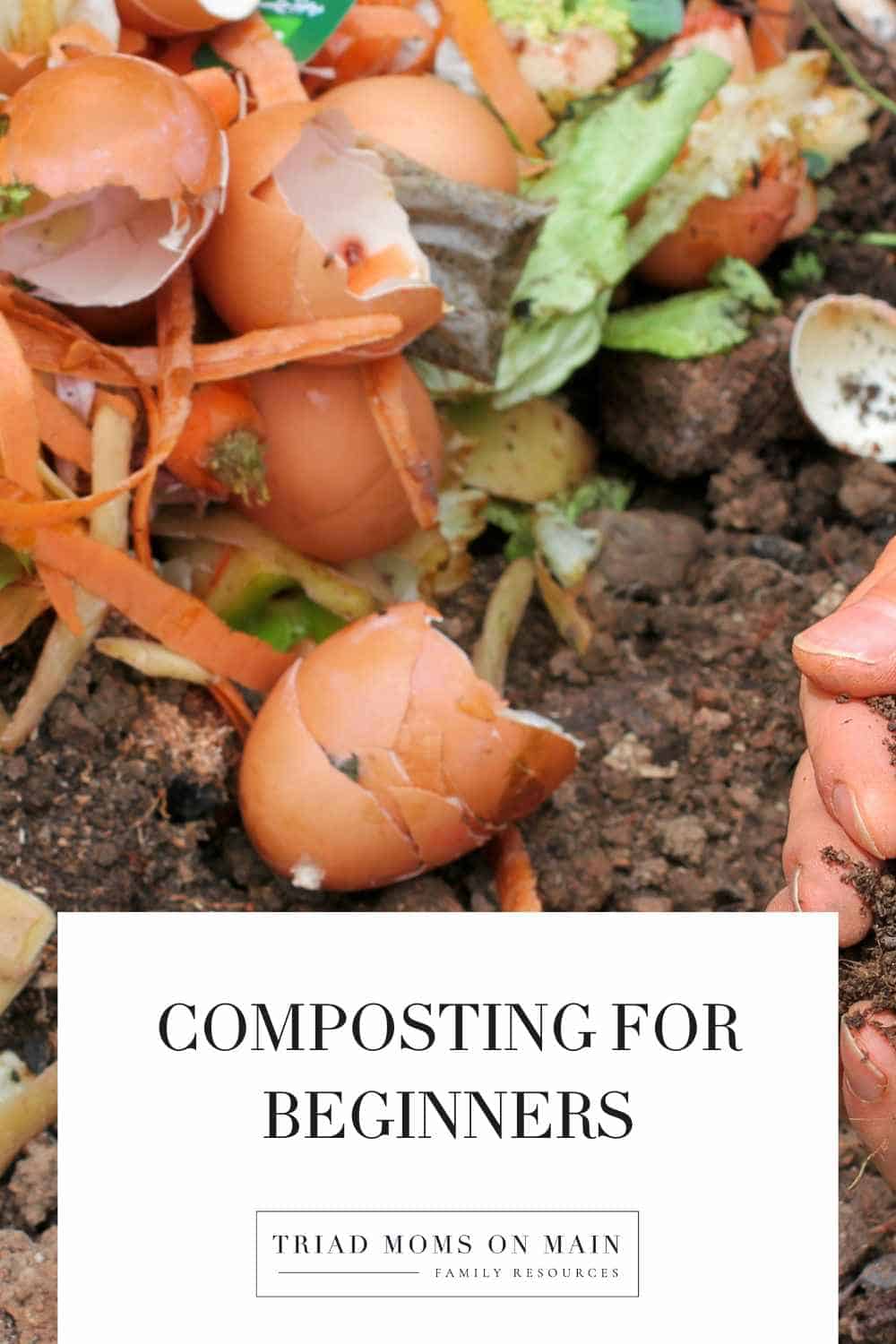 Composting for Beginners