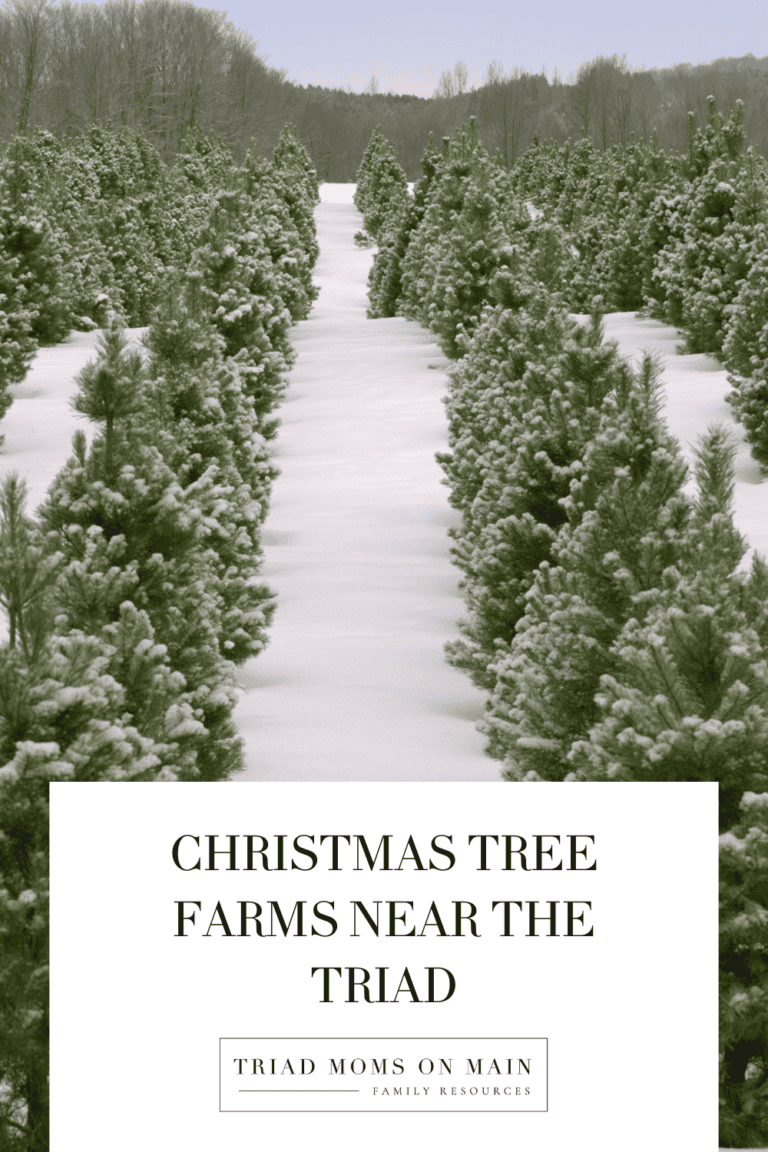 Christmas Tree Farms Directory