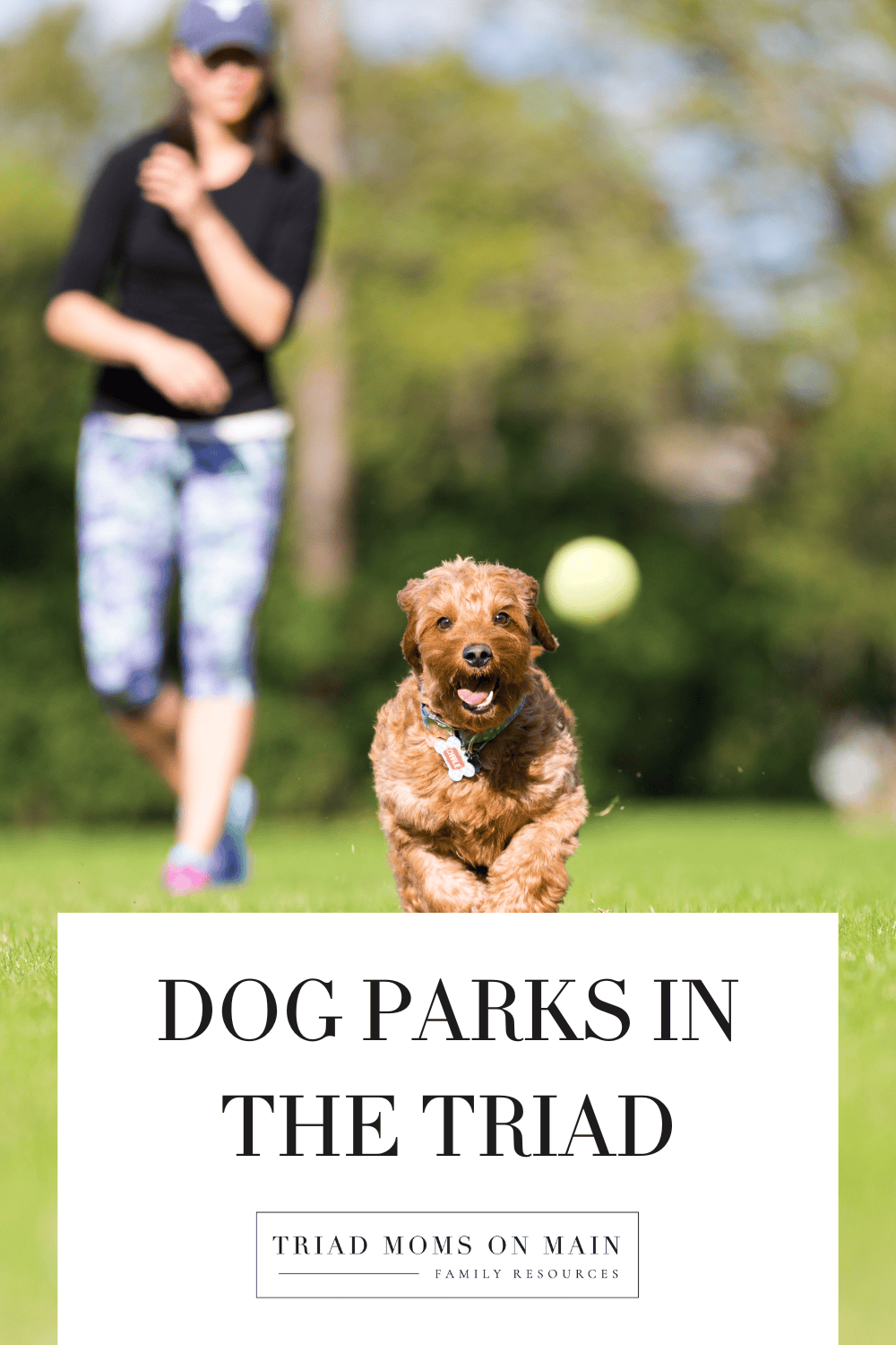 Dog Parks in the Triad