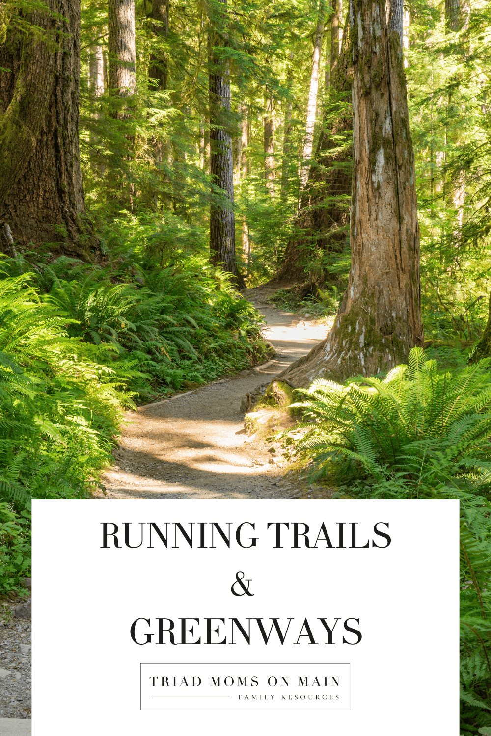 Running Trails