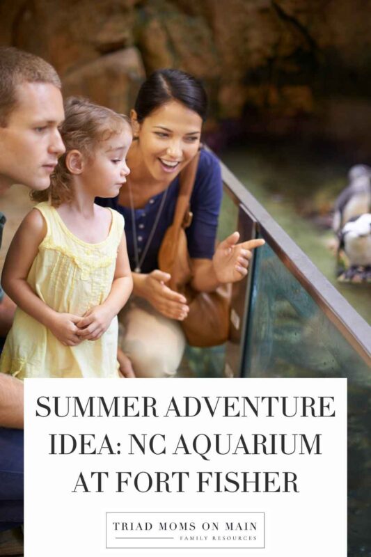 Summer Adventure Idea: NC Aquarium at Fort Fisher