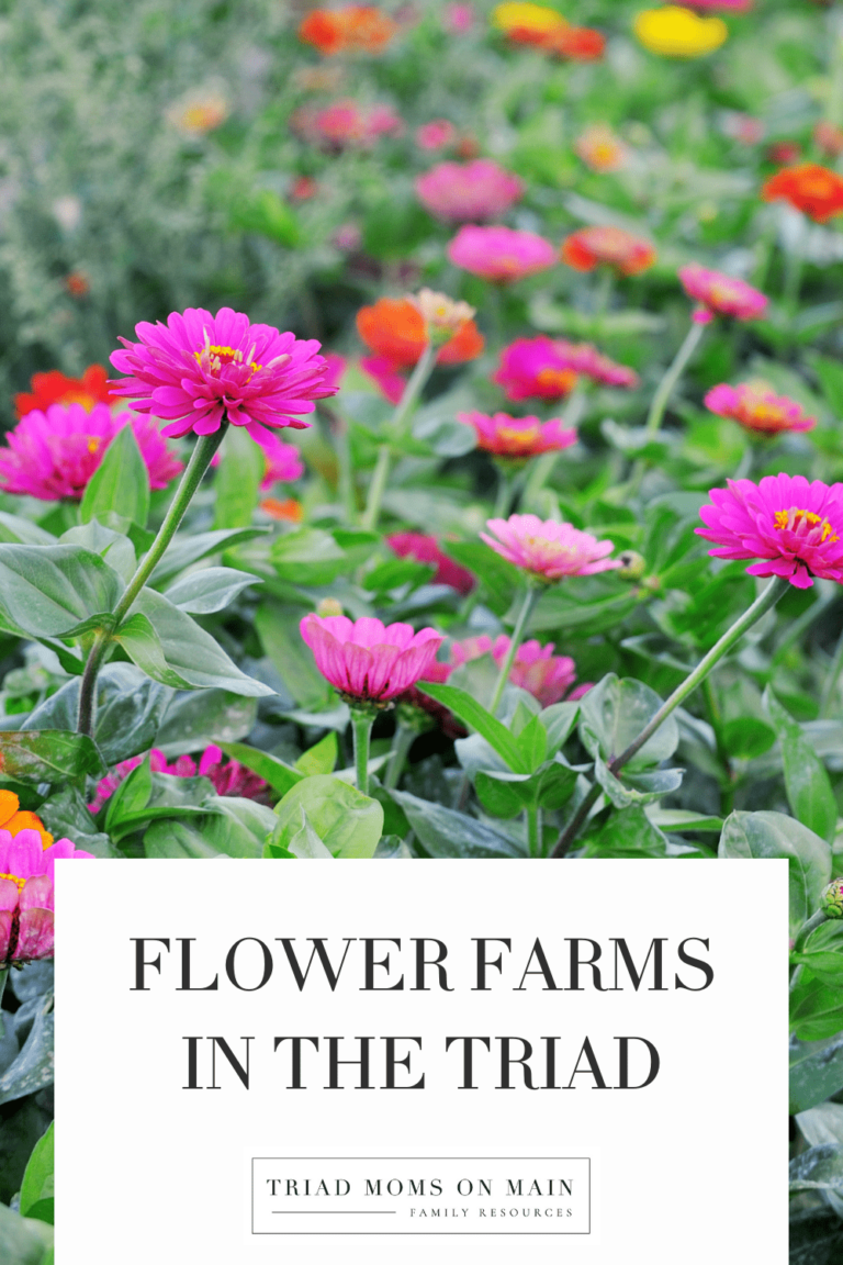 Flower Farms in the Triad