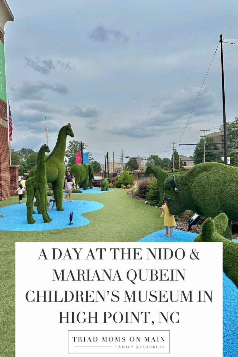 A Day at the Nido & Mariana Qubein Children’s Museum in High Point, NC