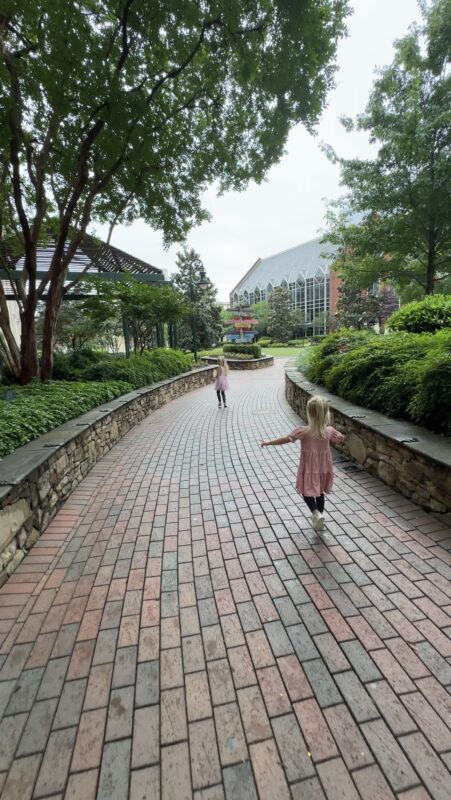 The Green in Charlotte, NC