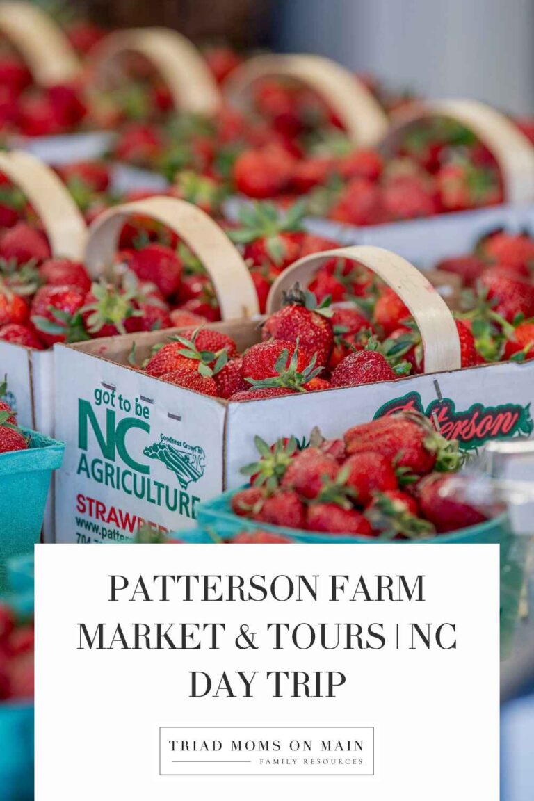 Patterson Farm Market & Tours | NC Day Trip