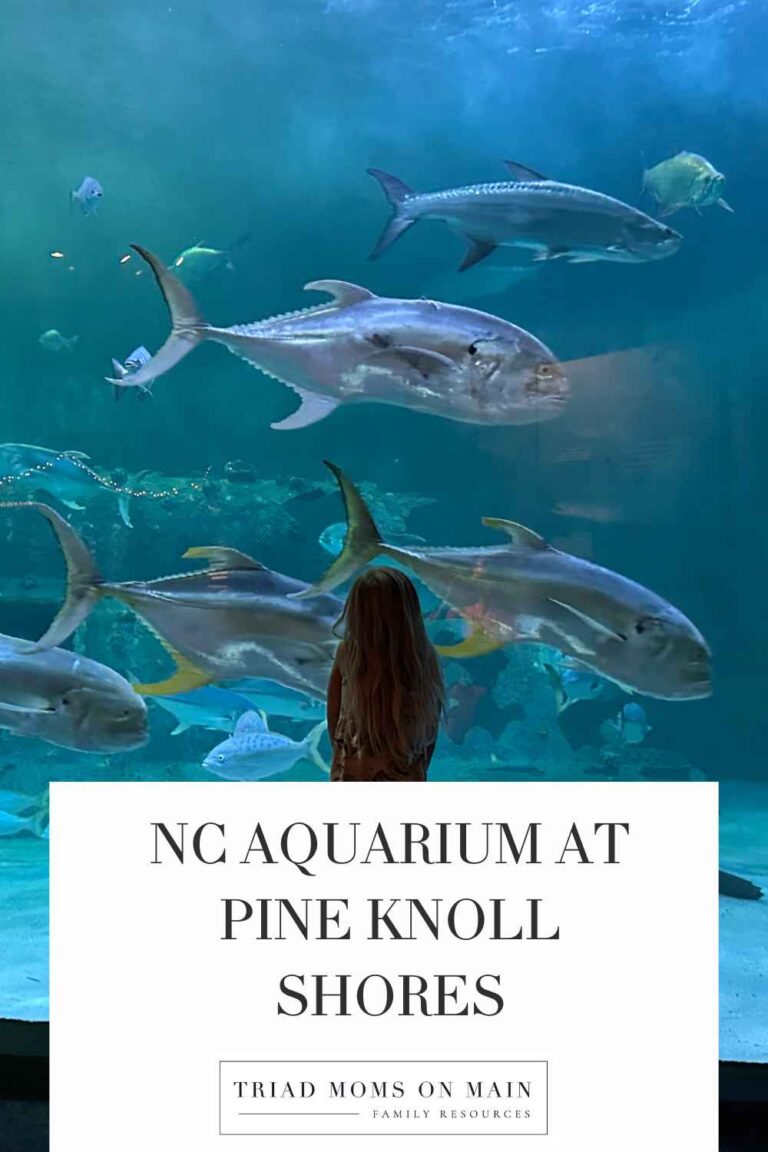 NC Aquarium at Pine Knoll Shores