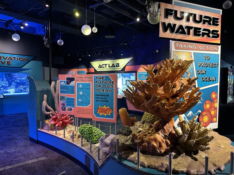 NC Aquarium at Pine Knoll Shores Pictures 
