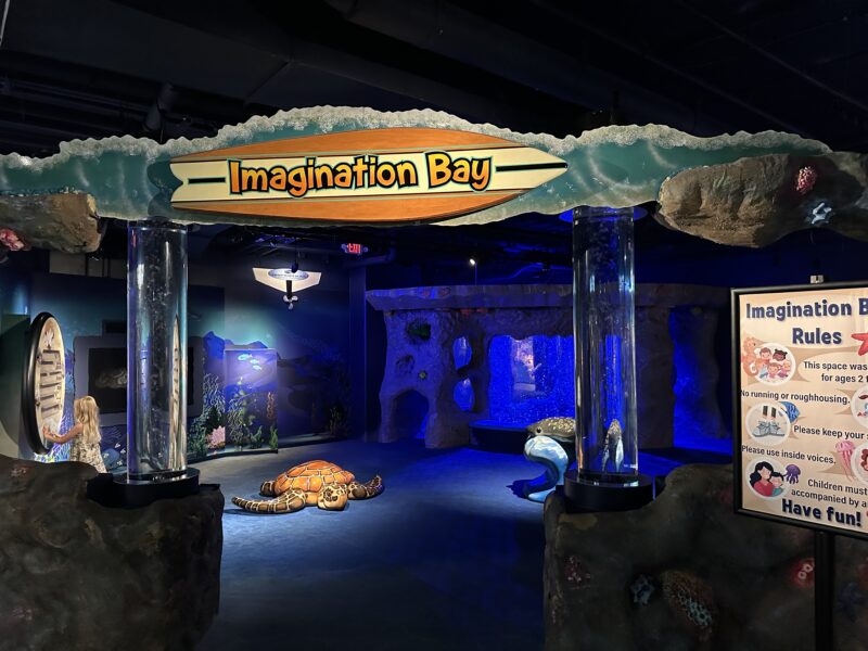 NC Aquarium at Pine Knoll Shores: Imagination Bay
