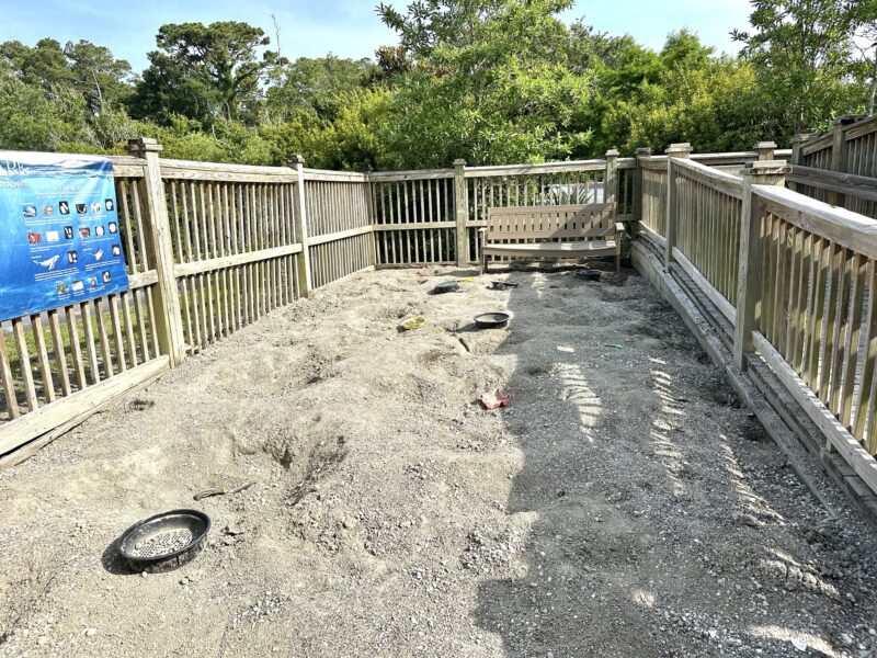 NC Aquarium at Pine Knoll Shores Photos: Fossil Hunt