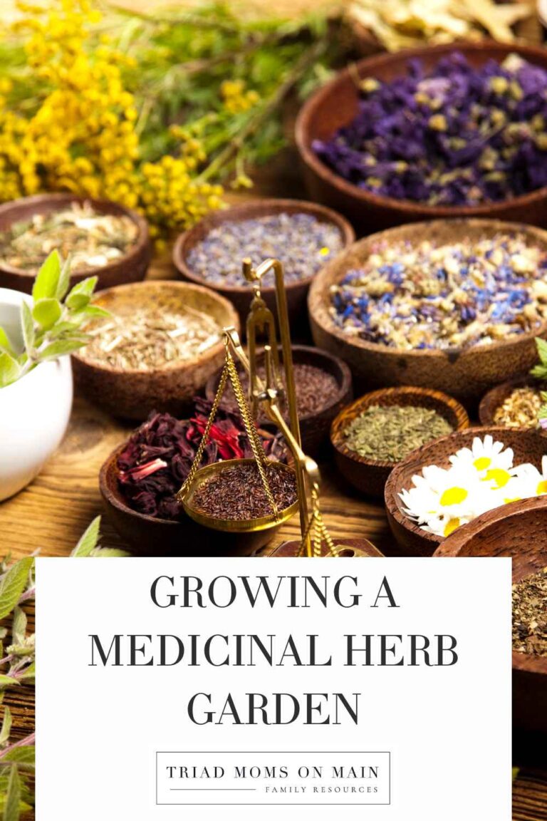 Growing a Medicinal Herb Garden