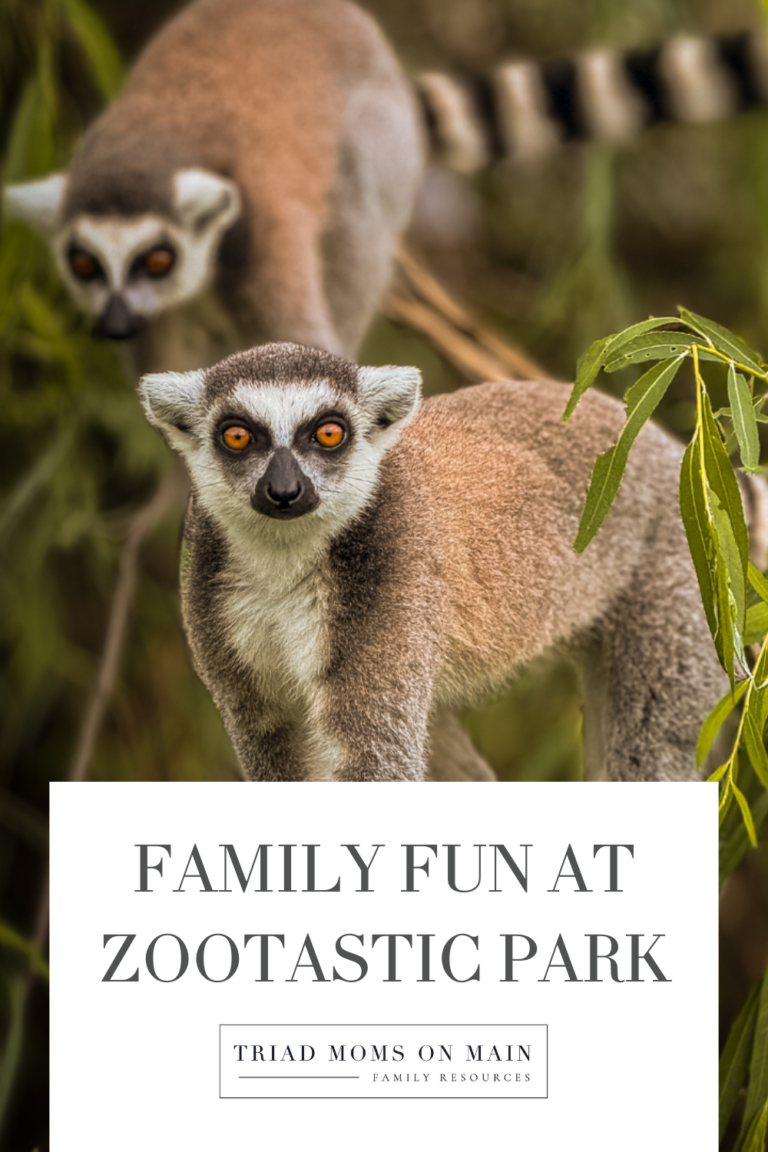 Family Fun at Zootastic Park