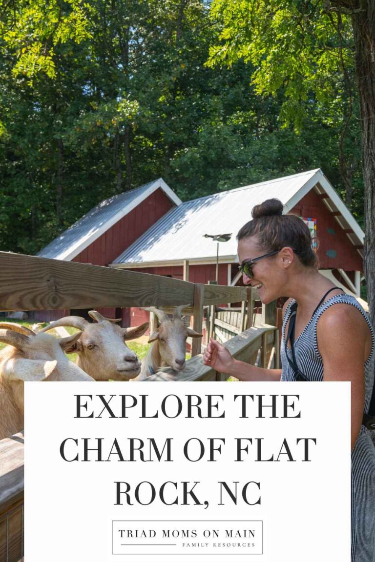 Explore the Charm of Flat Rock, NC