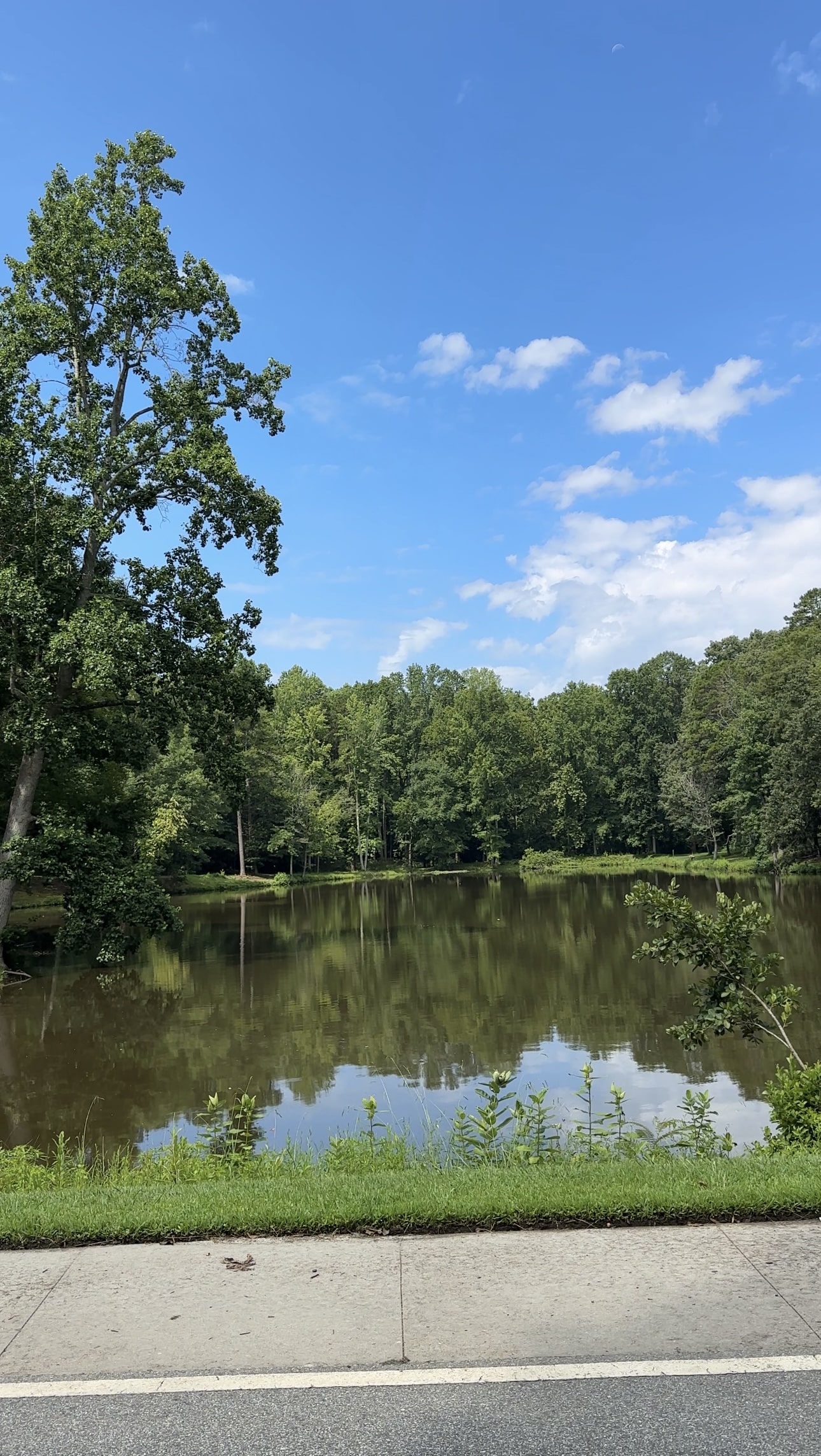 Hagan-Stone Park Fishing Pond