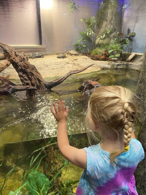 North Carolina Aquarium on Roanoke Island