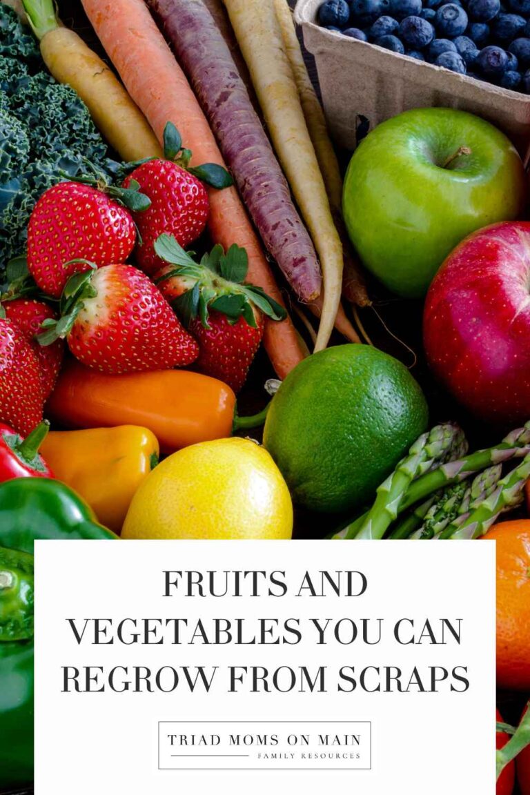 Fruits and Vegetables You Can Regrow from Scraps