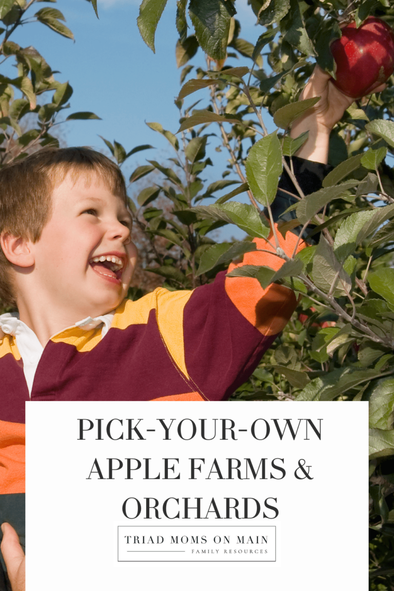 Discover the Best Apple Orchards & Apple Picking Experiences in NC