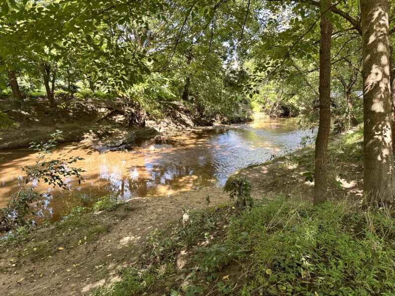 Creek at Lake Daniel Park