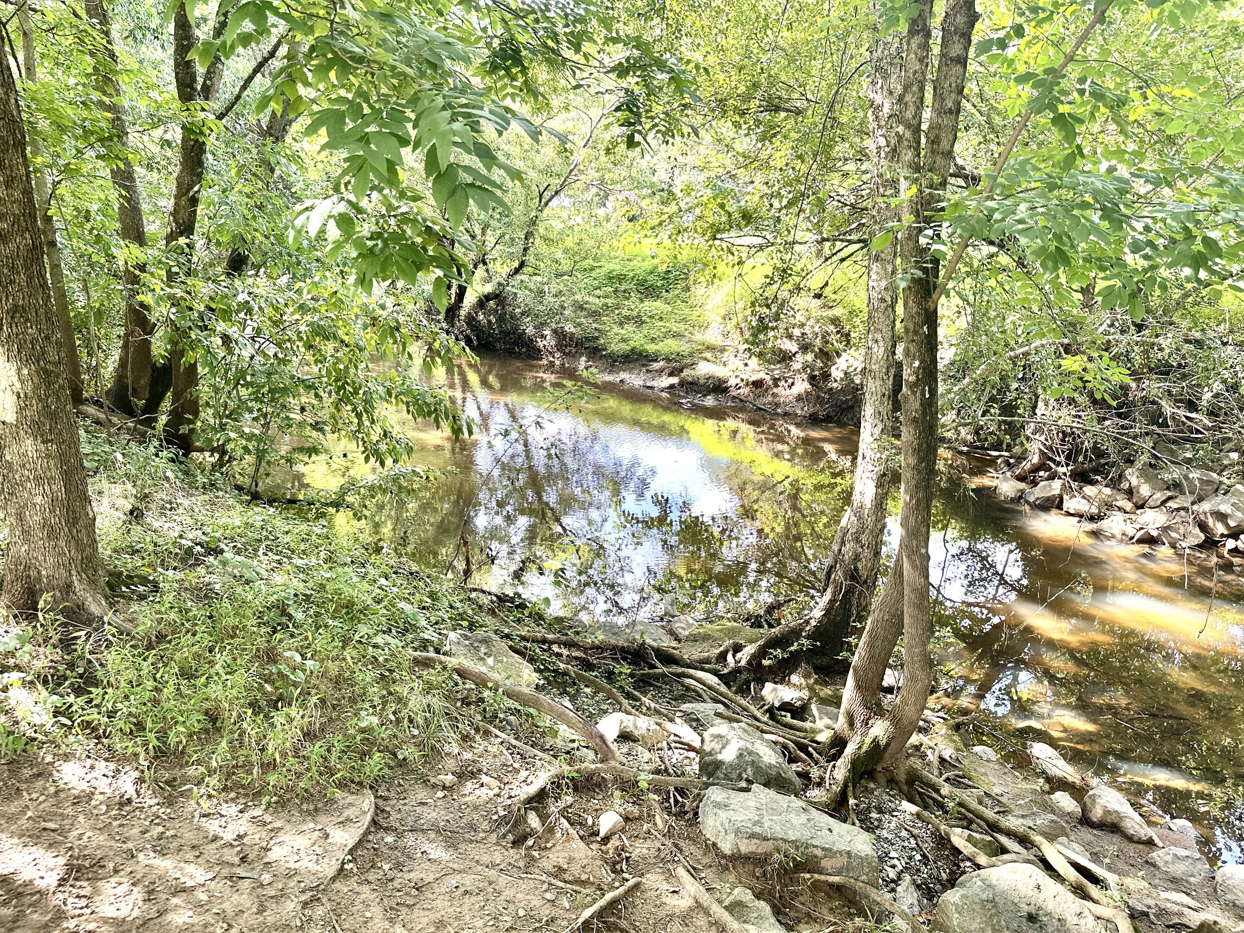 Creek at Lake Daniel Park