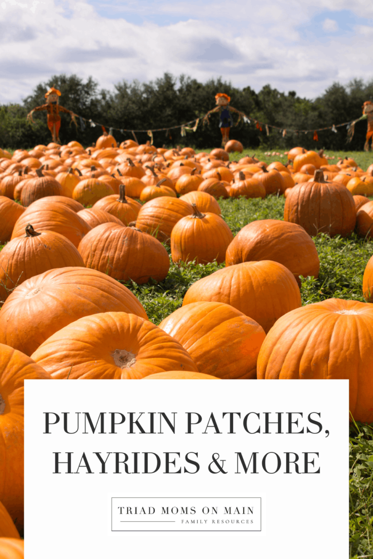 Best Pumpkin Patches, Hayrides, Corn Mazes & More!