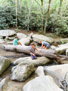 Stone Mountain State Park River with Kids