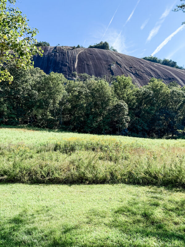 Stone Mountain State Park