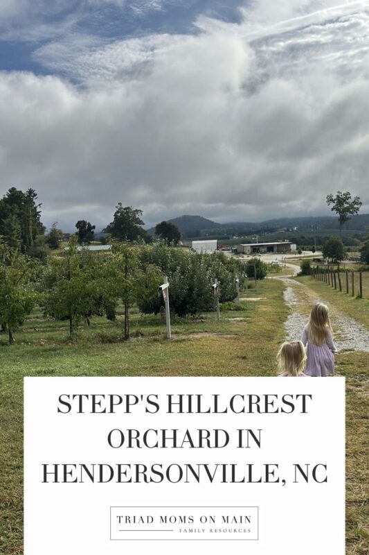 stepp's hillcrest orchard in Hendersonville, NC