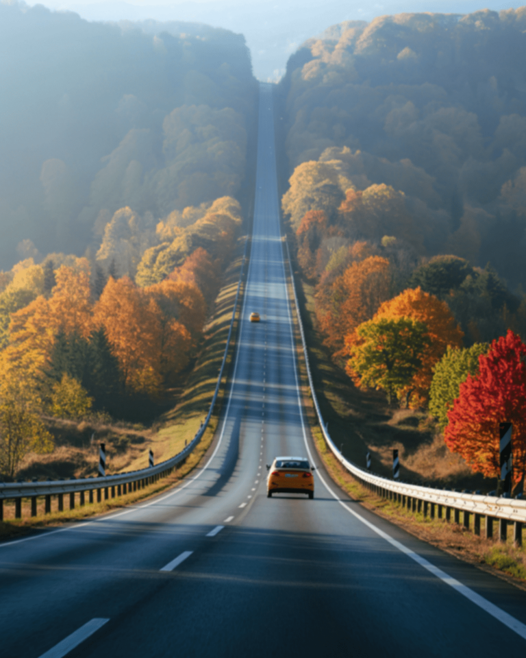 GUIDE: Fall in the triad