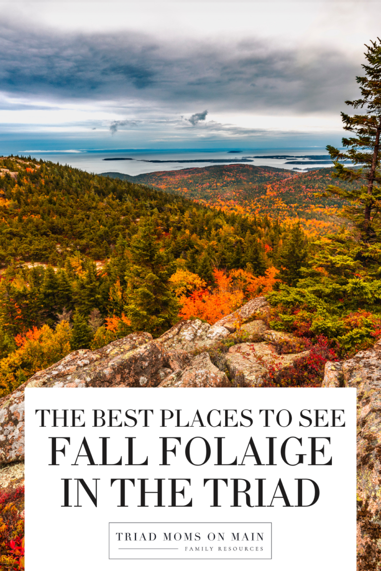 fall foliage in nc