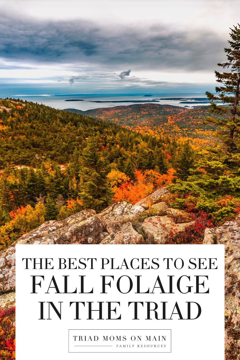 fall foliage in nc