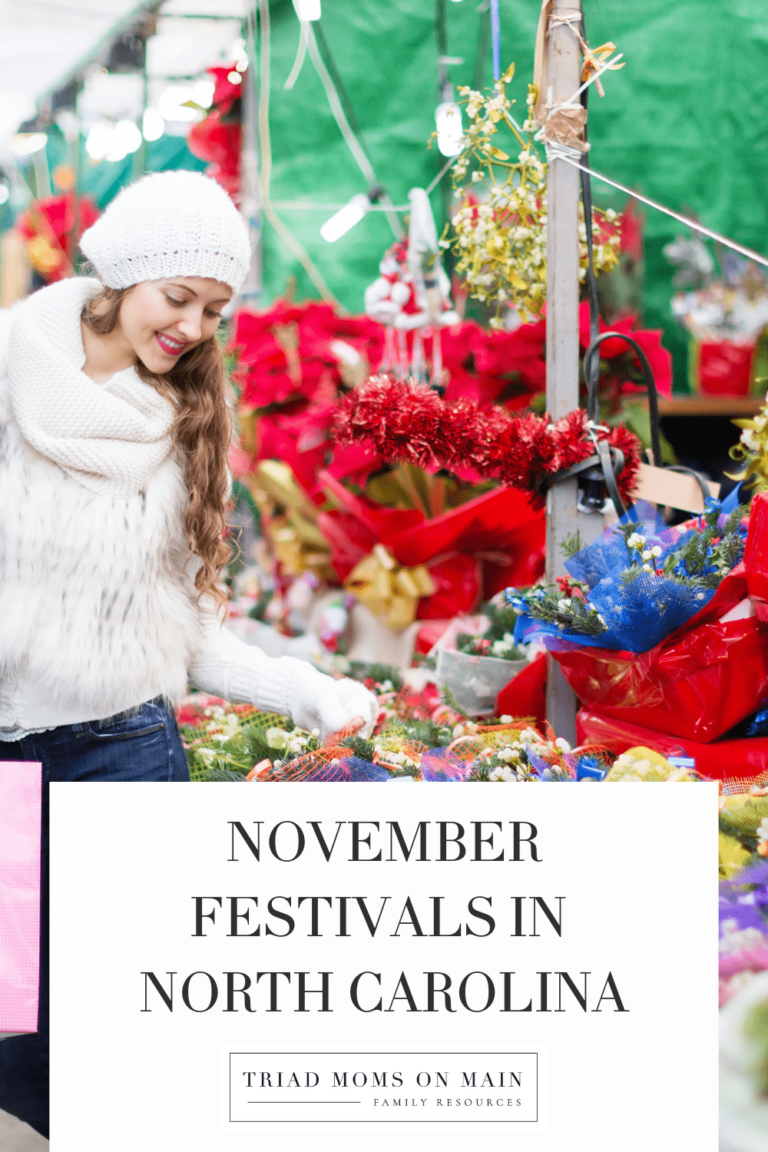 Top November Festivals and Events in NC