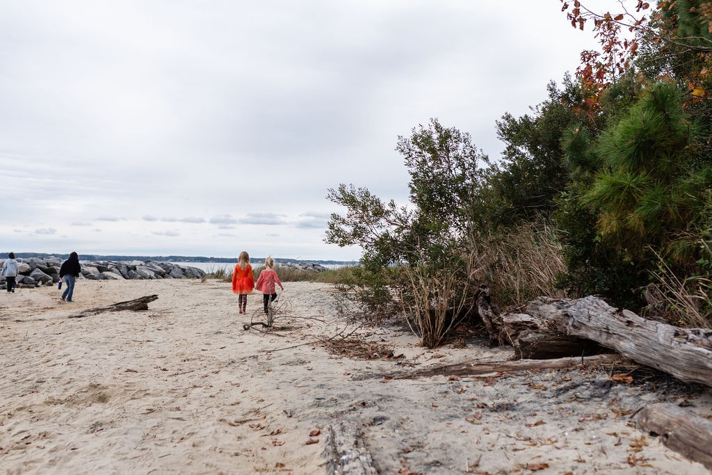 Fossil Beach at York River State park in Williamsburg, VA