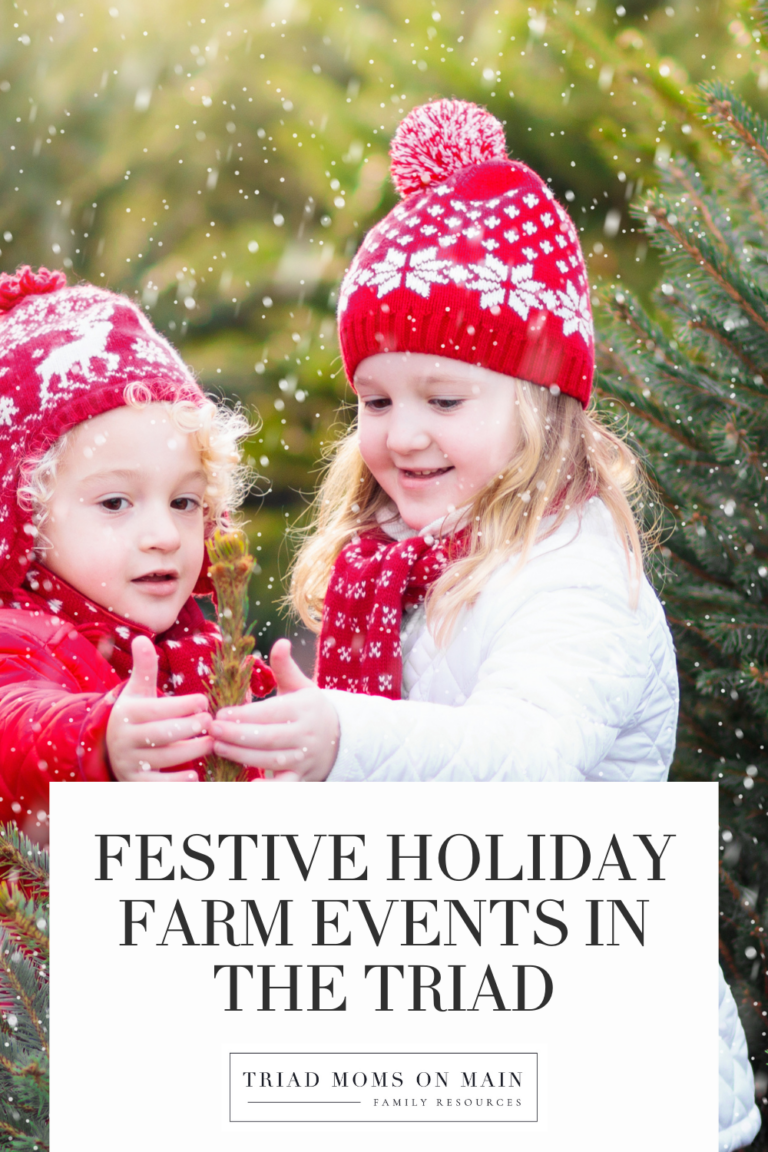 Christmas Themed Events (On A Farm) in the Triad