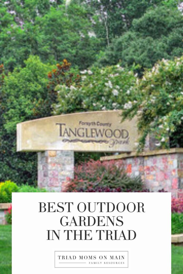 Explore the Best Outdoor Gardens in Winston‑Salem, Greensboro & Beyond