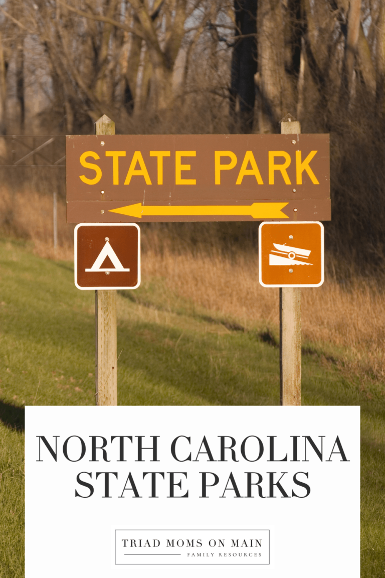 North Carolina State Parks Guide 2026 | Family Trips, Hikes & Waterfalls