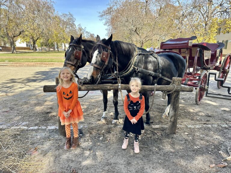 Colonial Williamsburg Horse Drawn Carriage Ride with Kids