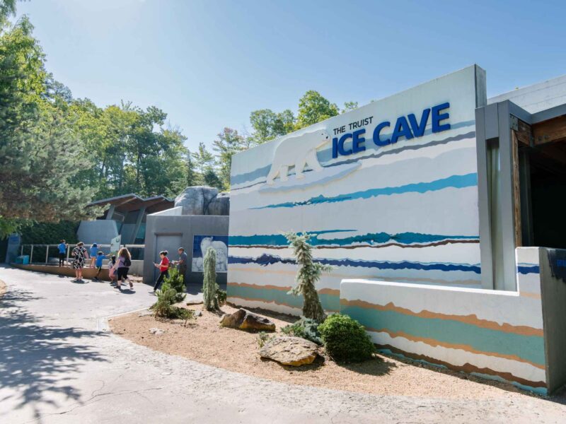 Ice Cave at NC Zoo