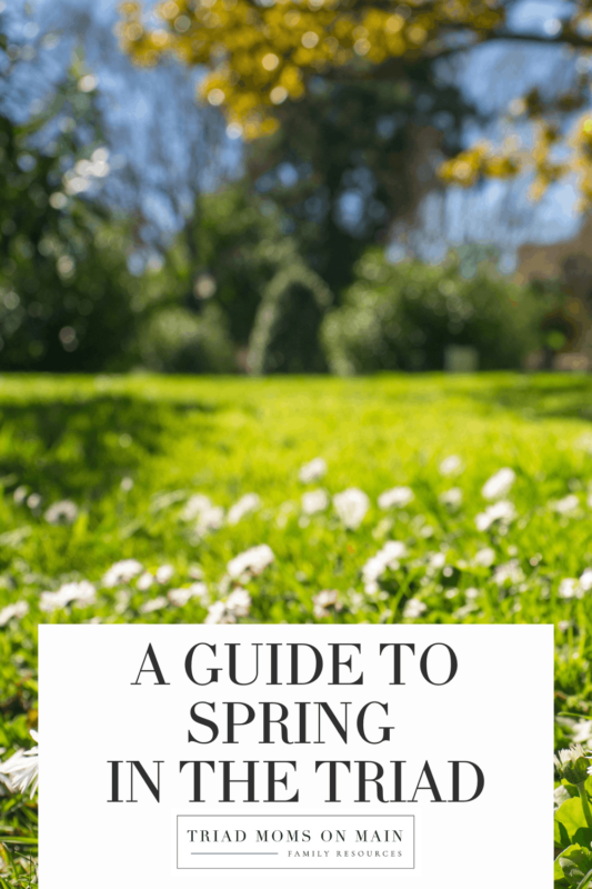 Spring Guide