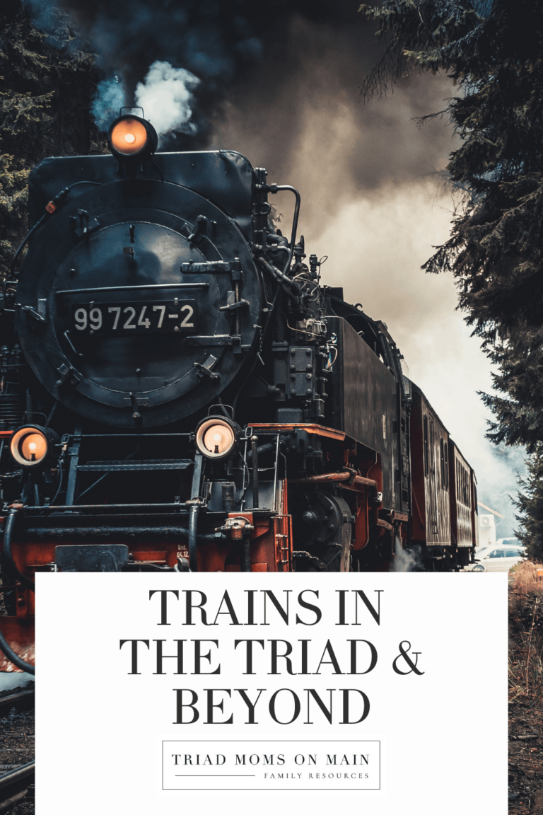 Places to Enjoy Trains in NC