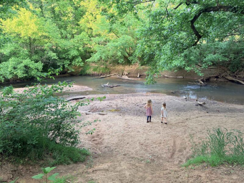 Muddy Creek in Winston-Salem, NC