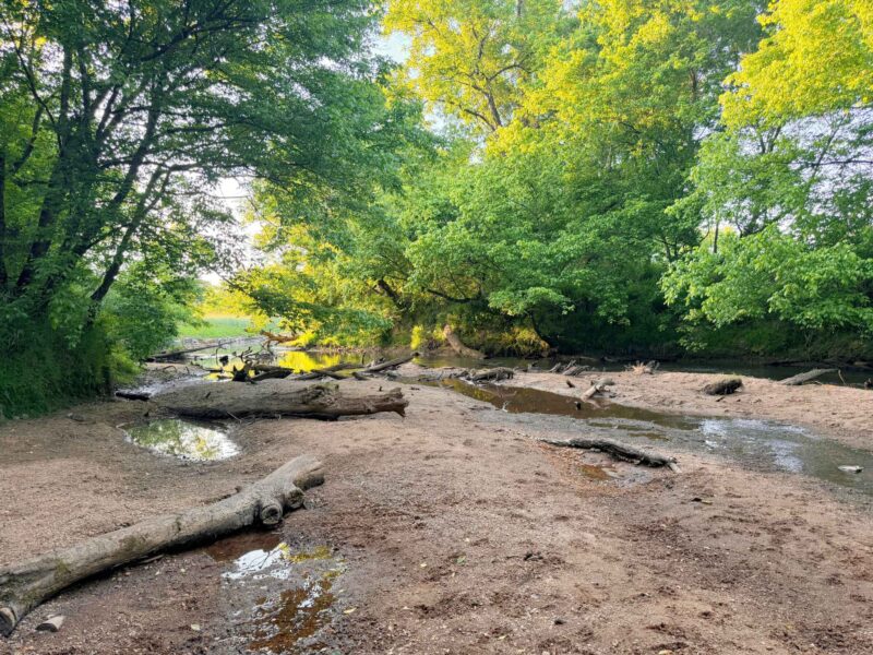 Muddy Creek in Winston-Salem, NC