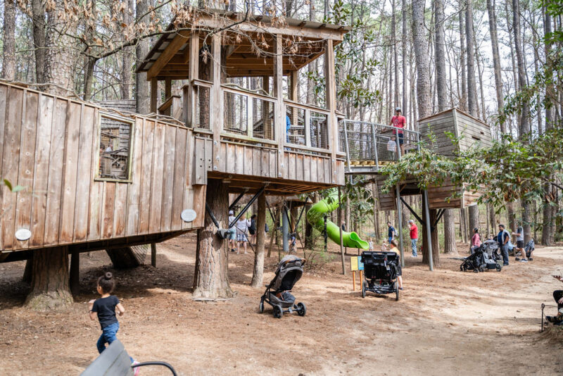 Treehouse at Durham Museum of Life and Science in the Spring